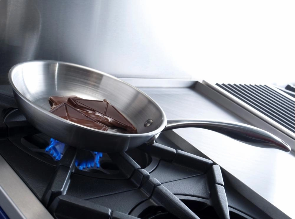 Bluestar RNB484CBV2 48" Rnb Series Range With 24" Charbroiler